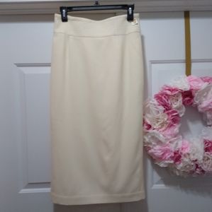 NWT Talbot's Pencil Skirt